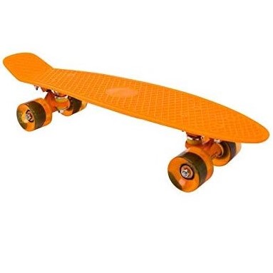 Penny Board Skateboard 22